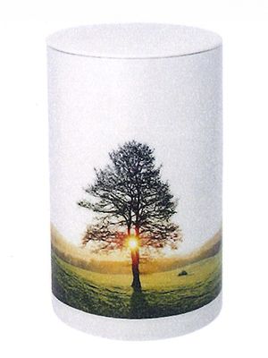 Naturstoffurne Ruhebaum